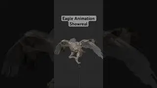Eagle Animation Showreal #blendertutorial #blender3D #3d #3danimation