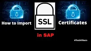 STRUST:How to Import/Deploy SSL Client Certificates in SAP System - Anonymous & Standard