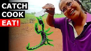GIANT Black Scorpion (Catch - Cook - Eat)