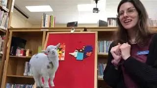 Storytime with Miss Maureen - Nature