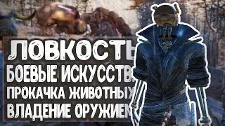 БЫСТРАЯ ПРОКАЧКА: БОЕВЫХ ИСКУССТВ \ ЛОВКОСТИ \ ЖИВОТНЫХ  - Kenshi 1.0.8