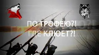 RF4! РР4! Русская Рыбалка 4! Рыбы, много рыбы, много рыбы не бывает!)