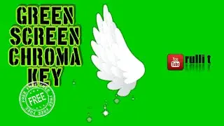 Green Screen HD - WHITE WING animation 🔊 sound