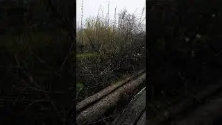 А снег идет. 19 мая 2018 года. Новокузнецк