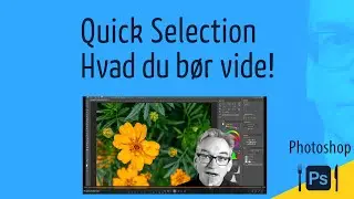 Quick Selection Tool – hvad du bør vide