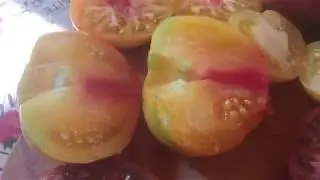 Моя дача в декабре