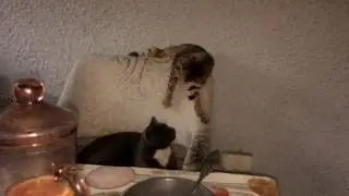 Глюкас задирает Лаврентия (Часть 2)