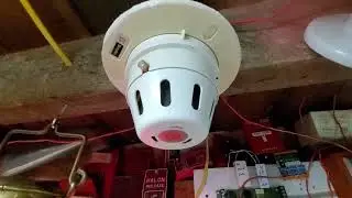 Simplex 2098-9636 Smoke detector
