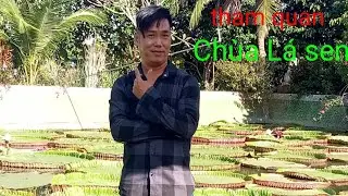 tham quan Chùa Lá sen