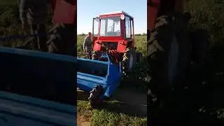 Кир 1.5 в Кисилевке