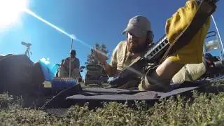 AD with AR 15