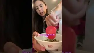 Dog Food Recipe You Can Make at Home!