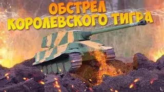 Обстрел Королевского Тигра из фанеры