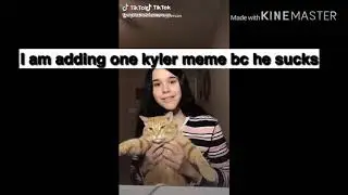 Funniest vsco TikTok memes (mostly juliathekindoffunnyperson)