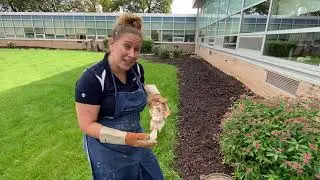 Smoke Firing Demo