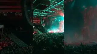Zombified live
