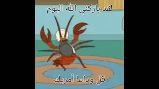 مضحك الرقص جراد البحر ميمي