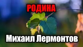 Михаил Лермонтов - Родина (Люблю отчизну я, но странною любовью!)