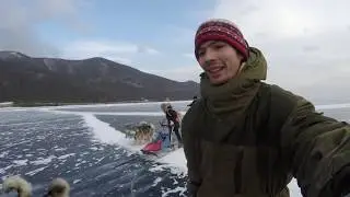 По льду Байкала на собачьих упряжках. Январь 2019.