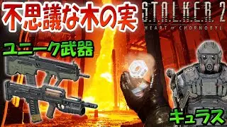 ストーカー2 ユニークアーティファクト「不思議な木の実」＆ユニーク武器「ディサイダー」＆「グロム-15」＆アンダーバレルグレネードランチャー「GP-25」＆戦術ヘルメット！ハートオブチェルノブイリ