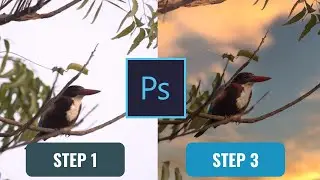 How i edit Bird Photography | Change sky in Photoshop 2021 | Photoshop manipulation tutorial