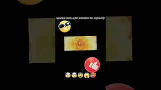 #рофл #рофл #рофл #рофл #рофл #рофл #рофл #рофл #рофл #рофл #чикенган #chikengun