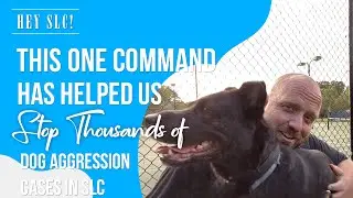 How Salt Lake City Dog Owners are Stopping Dog Aggression With One Command