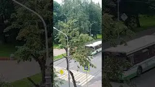 ЛиАЗы разных поколений и моделей в Великом Новгороде. Хоть бы музыка была не авторская 🤞