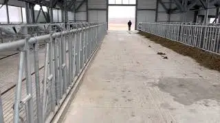 Животноводческая ферма на в Республике Татарстан