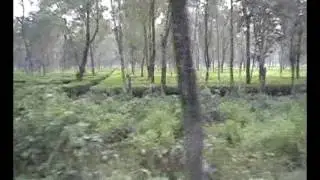Deepak  chettri 15