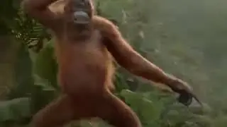 Funny video by hotsex typing