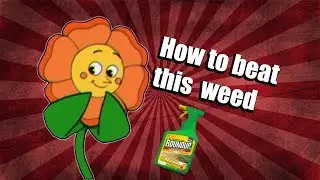 How to beat the flower boss on Cuphead