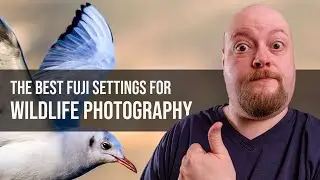 What Are The Best Wildlife Photography Settings For The Fuji XT System?