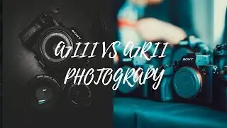 Which is better ? The Sony A7III or the A7RII for Pictures?