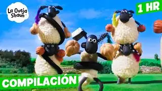 ¡OVEJAS LOCAS! 🐑🤪 | La Oveja Shaun (Dibujos Animados Para Niños)