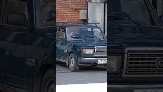 Собаки ждут хозяина) #жара#животные#собаки#овчарка#рекомендации #automobile #flowers#шортс