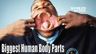 20 Of The World’s Biggest Human Body Parts | Worlds Top Rated
