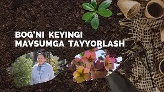 Bog'ni keyingi mavsumga tayyorlash