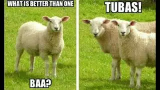Classical Music Memes