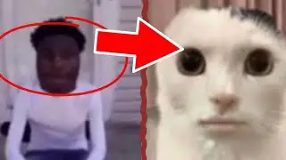 How to become a cat!