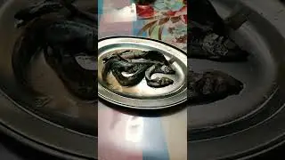Наши маринованные (миноги) мойвы. #cooking #cookpad #стрим #shorts