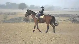 Om Kumar | One of the Youngest Polo-Pony riders in the World