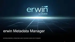 Metadata Manager-Versioning and Data Dictionary v11