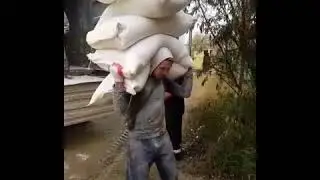 Дешевая раб сила