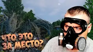 Stalker Контракт на хорошую жизнь 2