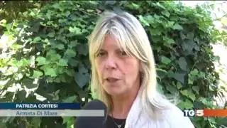 TG5 fermopoint