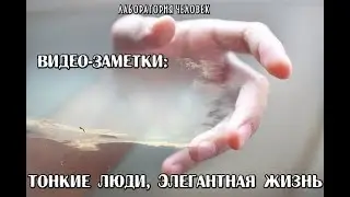Качество тонкости в человеке