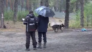 Открытый Чемпионат Алтайского края по ОКД, ЗКС (ОКД+ЗКС), ОКД(мини)14