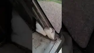 снял обшивку на Газели Некст каркасник  и о...л .