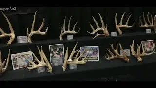 2022 Illinois Whitetail Deer Classic North American Shed Hunters Club Display
